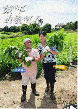 周末厨房 在线观看
